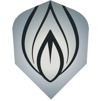 Windson FLAME Letky pro šipky, šedá, velikost UNI