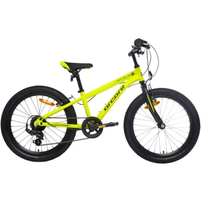 Arcore BRISK 20 Juniorské 20" kolo, světle zelená, velikost 20" (115 - 135 cm)