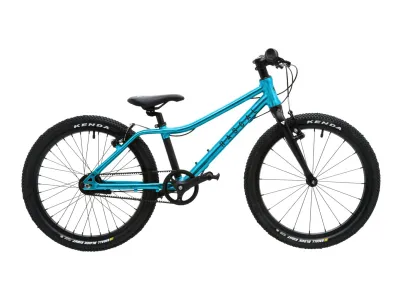Dětské kolo Rascal 20 Aquamarine (modrá) Barva: modrá
